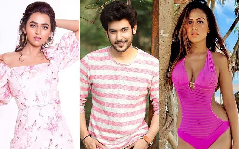 Shivin Narang To Romance THIS Hot Actress After Tejasswi Prakash And Nia Sharma In His New Music Video