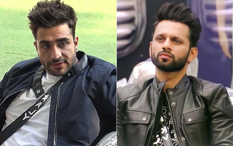 Bigg Boss 14: Aly Goni Says, 'I Literally Screamed At Rahul Vaidya For Quitting The Show'