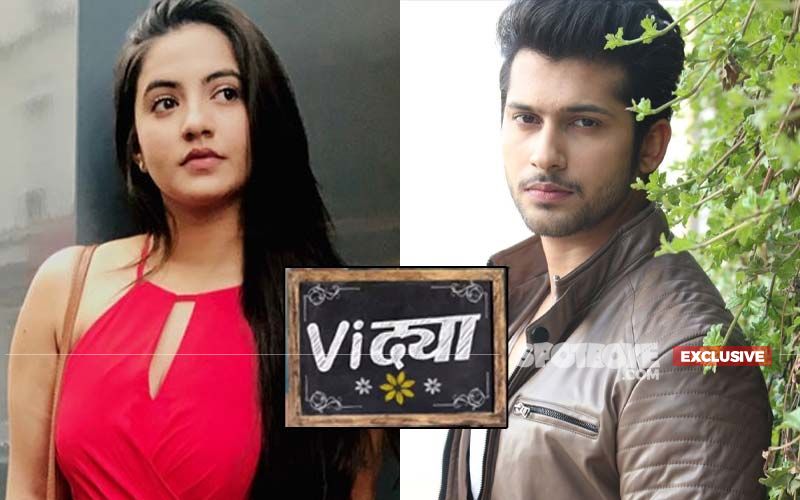 After Naagin 4, Meera Deosthale And Namish Taneja's Vidya Goes Off-Air Due To Covid-19- EXCLUSIVE