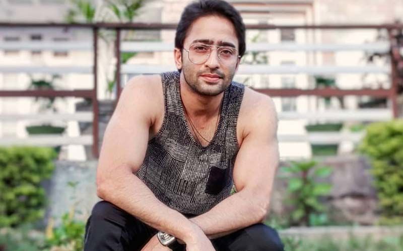 Shaheer Sheikh Has Been Following Social Distancing Even Before Coronavirus Outbreak, Here's How?