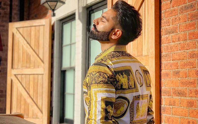 Parmish Verma Churns Out Style Goals; Shares A Sunkissed Picture On Instagram