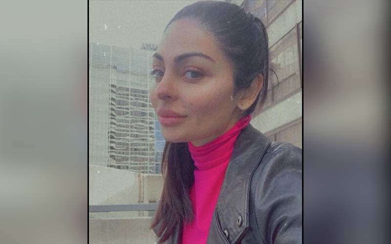Neeru Bajwa Turns Water Baby During Snowfall In Her Latest Insta Story; Don't Miss This Picture