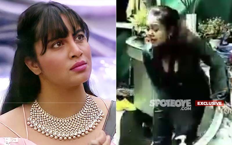 Bigg Boss 14's Arshi Khan On Devoleena Bhattacharjee Losing Her Calm, Breaking Things: 'Vo Kaafi Bevkoof Hain'- EXCLUSIVE