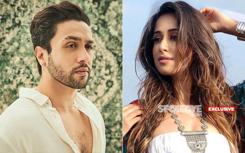 Adhyayan Suman Answers If He Will Work With His Ex-Girlfriend Maera Mishra Again After Peg Daariyan- EXCLUSIVE