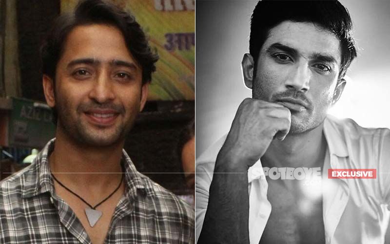 Shaheer Sheikh's FIRST INTERVIEW On Stepping Into Late Sushant Singh Rajput's Shoes In Pavitra Rishta 2: My First Thought Was, 'Mujhe Accept Hi Nahi Karenge Log'- EXCLUSIVE