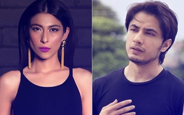 पाकिस्तान एक्टर अली जफर पर उनके ही देश की सिंगर ने लगाया यौन उत्पीड़न का आरोप