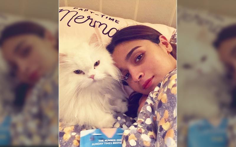 Alia Bhatt Shares A Bed Selfie With The Feline Love Of Her Life, Gets Serious Love From Her Instafam