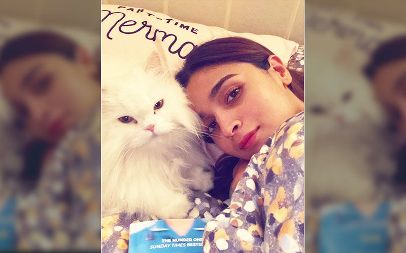 Gangubai Kathiawadi Actress Alia Bhatt Hurts Her Back; Little Kitty Eddie Gives A Health Update – See Pic