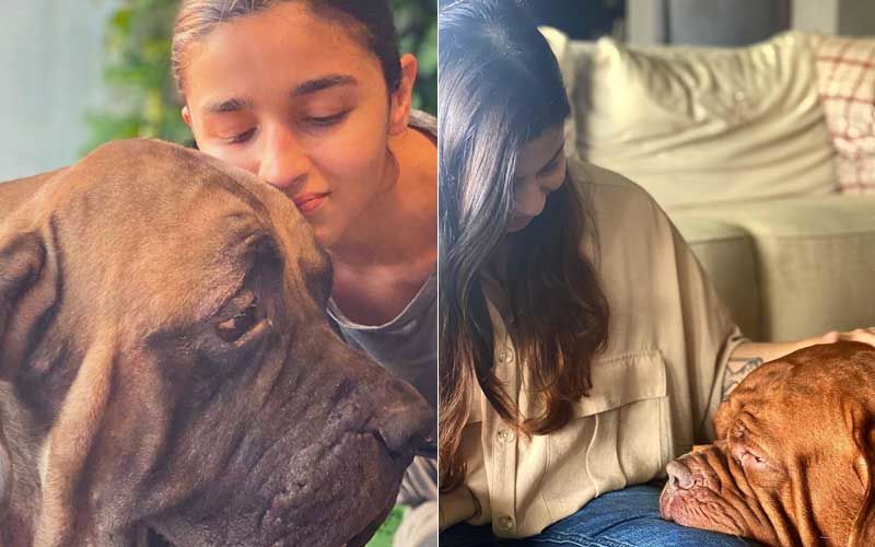 Alia Bhatt And Sister Shaheen Bhatt Picture With Ranbir Kapoor’s Doggos Will Take Away Your Monday Blues