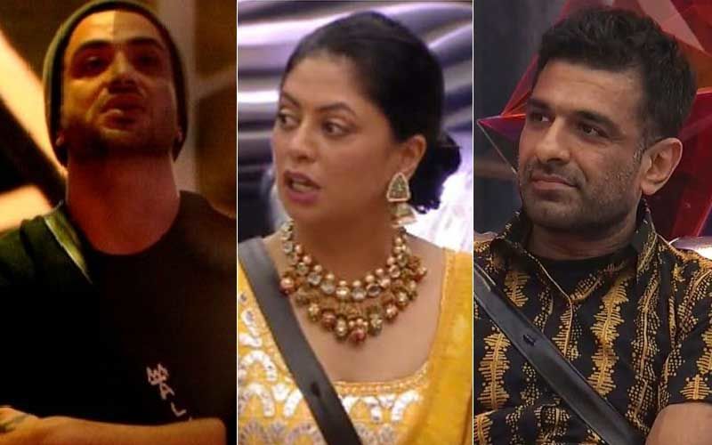 Bigg Boss 14: Aly Goni DISQUALIFIES Kavita Kaushik From Captaincy Task After She PUSHES Eijaz Khan