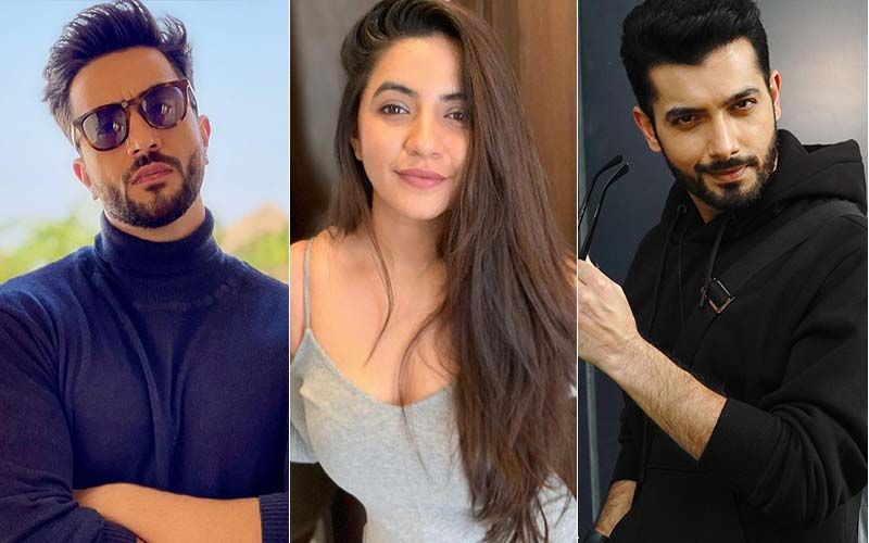 Facebook, Instagram, Twitter Ban In India: Aly Goni, Sharad Malhotra And Meera Deosthale Not In Favour