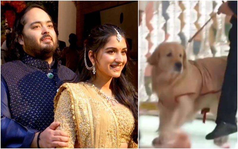 VIRAL! Anant Ambani’s Pet Dog Becomes The Ring-Bearer For His Engagement With Radhika Merchant- WATCH