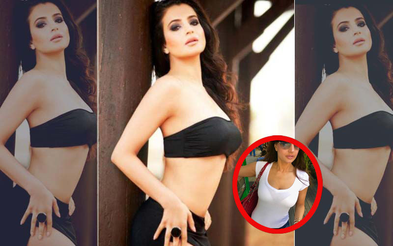 Ameesha Patel Posts Picture In Skin-hugging T-shirt, Gets Obscenities And Praises Both