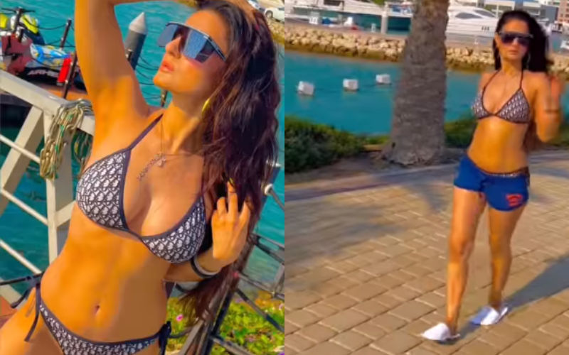 HOTNESS ALERT! Ameesha Patel Goes Bold As She Breaks Internet With Her BIKINI Avatar; Actress Flaunts Her Cleavage, Busty Assets At 46