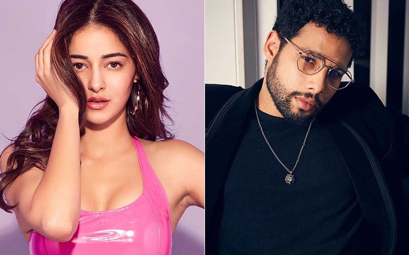 Ananya Panday Brutally Trolled By Siddhant Chaturvedi Over Nepotism Debate; MIC DROP, Bro - VIDEO