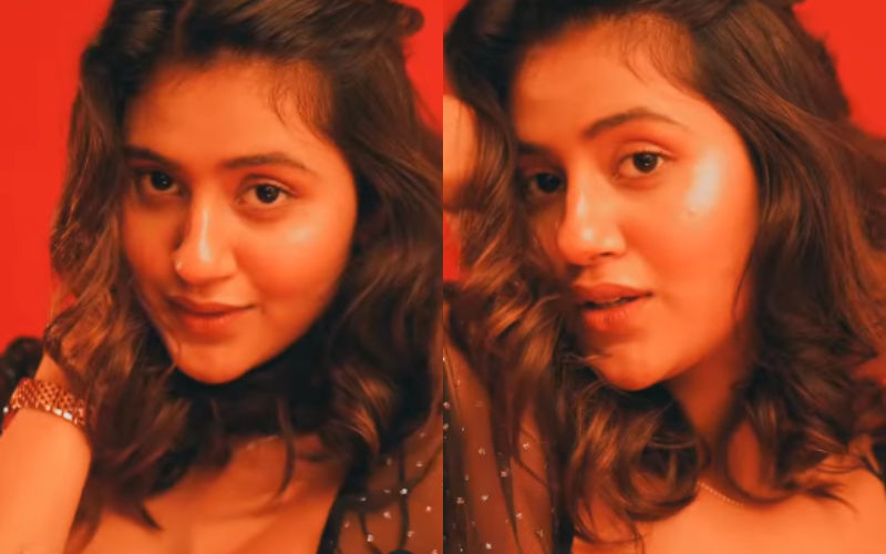 Anjali Arora's New HOT Video: Kacha Badam Girl Flaunts Her Cleavage And Radiant Beauty As She Tries To Seduce Fans With Her Bold Avatar