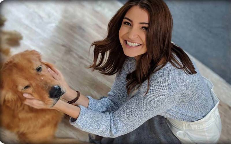 Furious Anushka Sharma Seeks Punishment For Teens Who Inflicted Extreme Cruelty On A Helpless, Wailing Dog