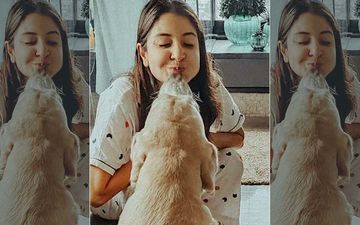 Mom-To-Be Anushka Sharma Enjoys A Lazy Friday Afternoon Lounging On The Couch With Her Furry Friend, Calls It ‘Love’