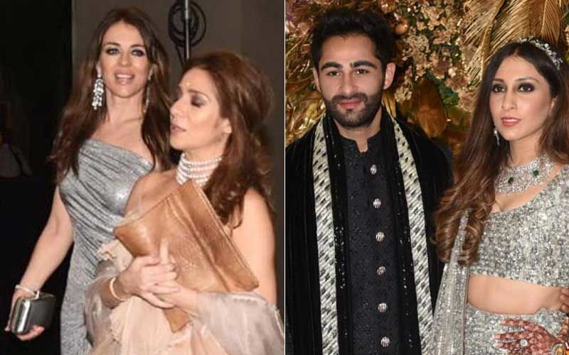 Armaan Jain Wedding Reception: Hollywood Actress Elizabeth Hurley Graces The Party In A Drop-dead Gorgeous One-Shoulder Dress