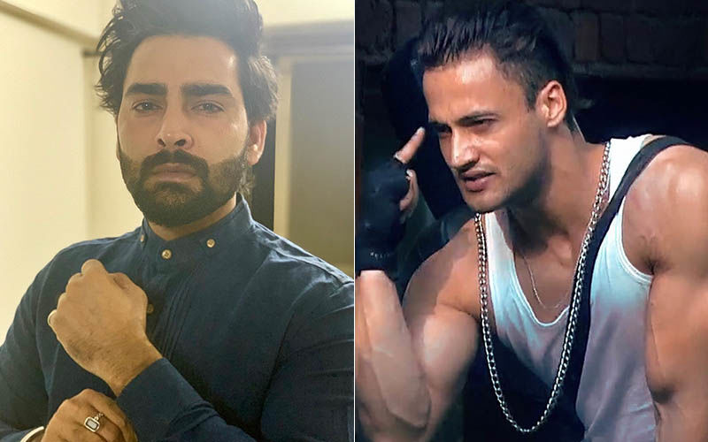 Bigg Boss 13: Manveer Gurjar Sides With Sidharth In His Fight With Asim, Says Latter ‘Deserves A Tight Slap’