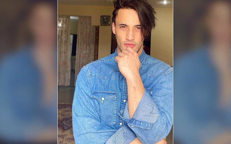 Bigg Boss 13’s Asim Riaz Shares A Meaningful Quote But Fans Post Weird Comments About 'Mosquito Bites At Night'