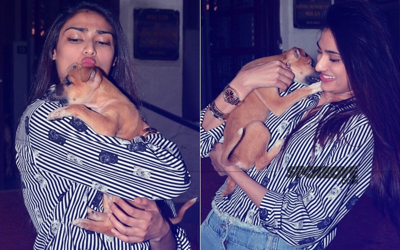 A Day Before Her Birthday, Athiya Shetty Visits An Animal Shelter At The Bombay Society For The Prevention Of Cruelty To Animals