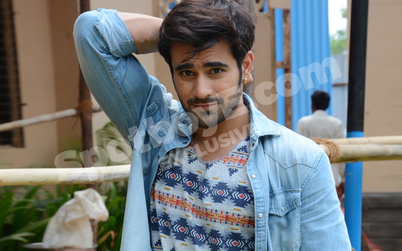Pearl V Puri thrown out of Meri Saasu Maa due to his starry tantrums?