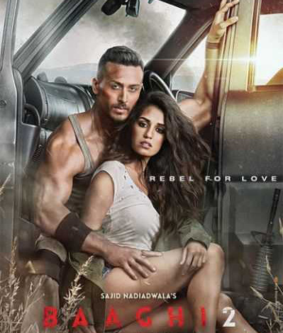 baaghi 2