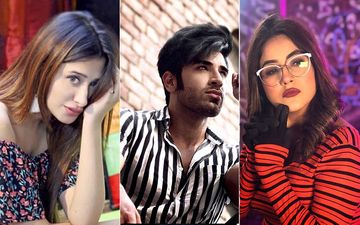 Bigg Boss 13: Mahira Sharma And Shehnaaz Gill Fight Over Paras Chhabra; A New Love Triangle In BB?