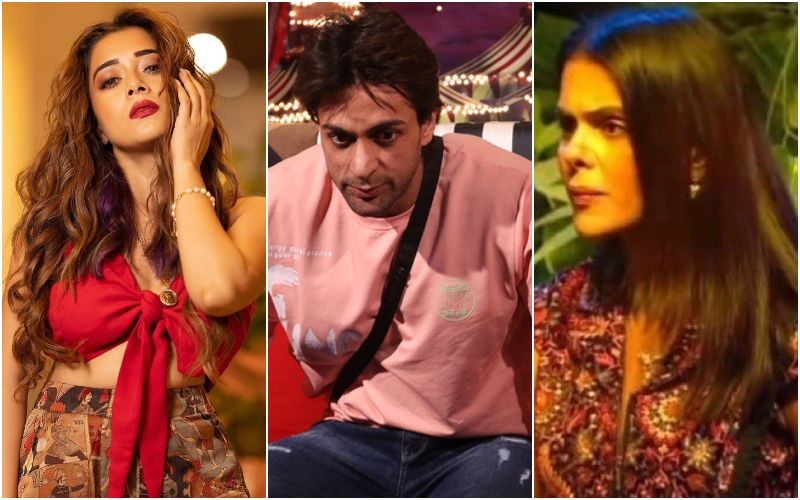 Bigg Boss 16: Tina Datta-Priyanka Chahar Choudhary Bully Shalin Bhanot For Being On Antidepressants; Netizens Call Them Vile Creatures