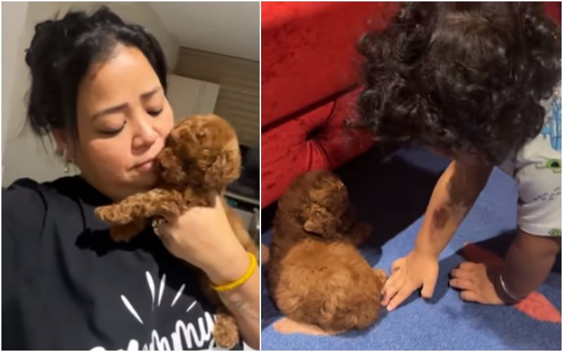 Bharti Singh Purchases A New House For Their New Puppy Bhure; Shares Adorable Moments Between Her Song And The Dog