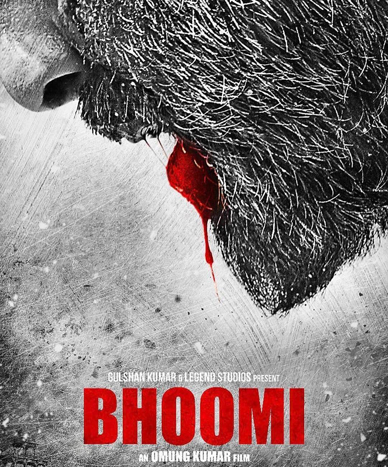 bhoomi movie poster
