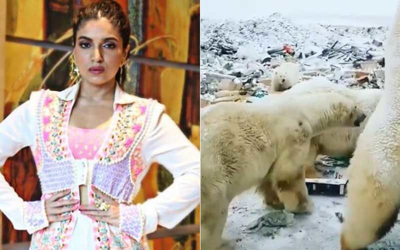 Climate Warrior Bhumi Pendekar Shares A Heartbreaking Video Of Polar Bears Surrounded With Plastic