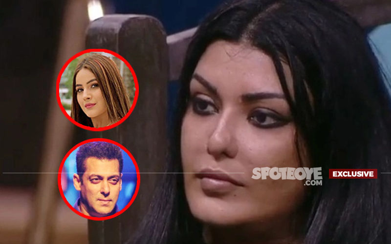 Bigg Boss 13: Koena Mitra Has No Regrets Of Being On The Show, Despite Salman Khan Defending Shehnaaz Gill- EXCLUSIVE