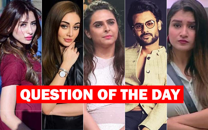 Bigg Boss 13: Who Should Be Evicted Next?