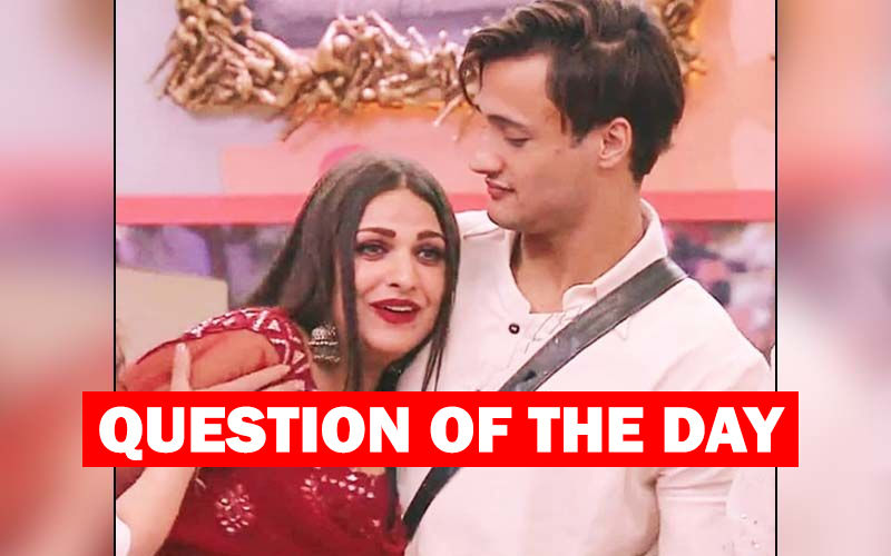Bigg Boss 13: Would You Like To See Asim Riaz And Himashi Khurana Get Together As Lovers?