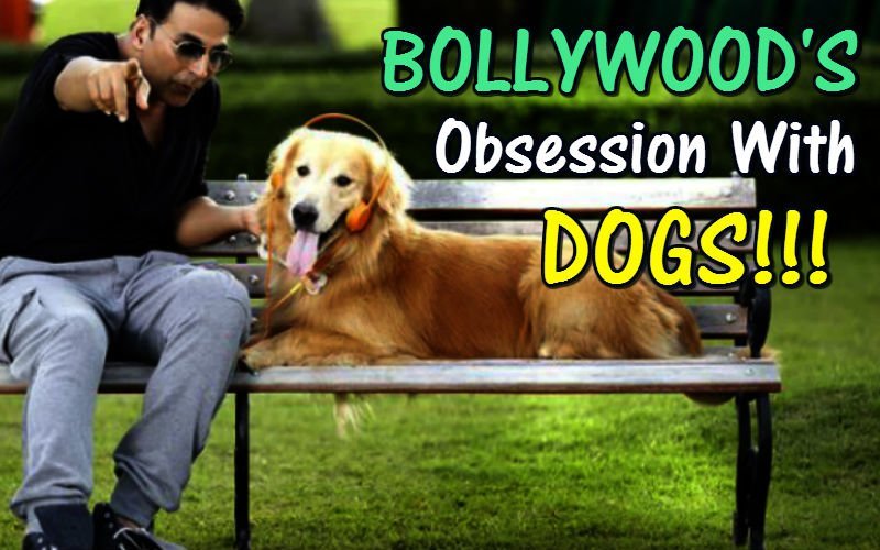 10 Dialogues That Prove Bollywood's Obsessed With Dogs!