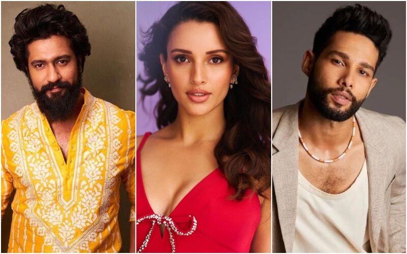 Triptii Dimri To Vicky Kaushal, Siddhant Chaturvedi: 8 Bollywood Actors That Became Talk Of The Town With Their Brief Roles In Movies And Shows