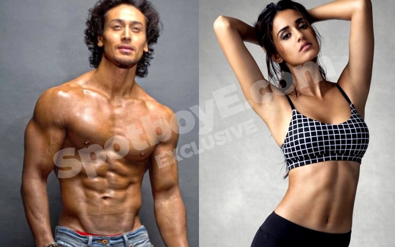 Tiger’s Sexy Rendezvous With Girlfriend Disha At An Undisclosed Location?