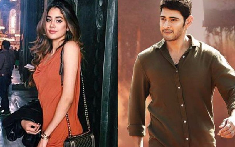 POLL OF THE DAY: Did Jhanvi Kapoor take the right decision in saying 'No' to a Mahesh Babu film?