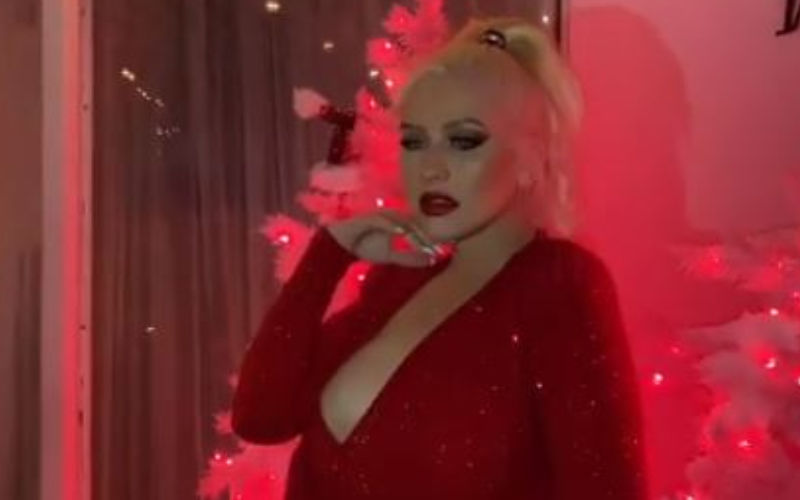 Christina Aguilera's B**B Pops Out While Dancing On Her 39th Birthday; Flashes It Again Just For Fun
