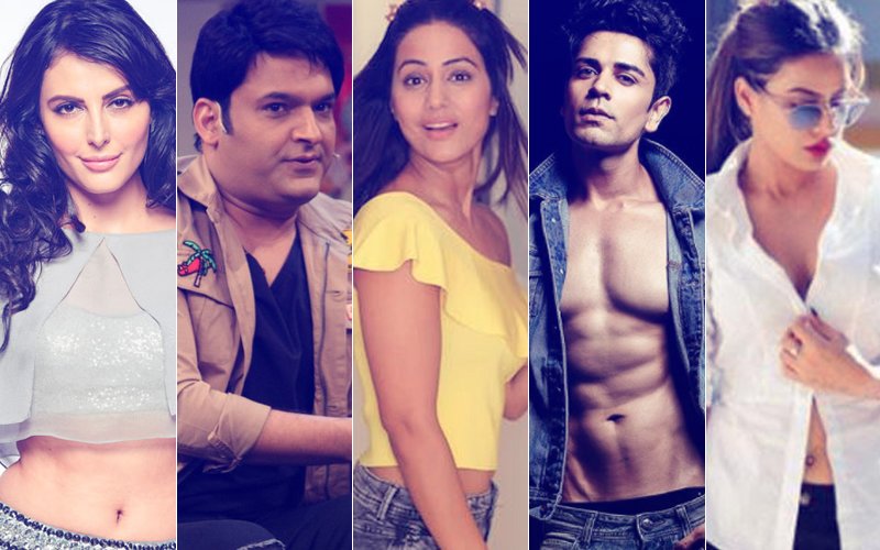 CONTROVERSY’S FAVOURITE CHILDREN: Here's Why Mandana, Kapil, Hina, Piyush, Nia Were INFAMOUS in 2017