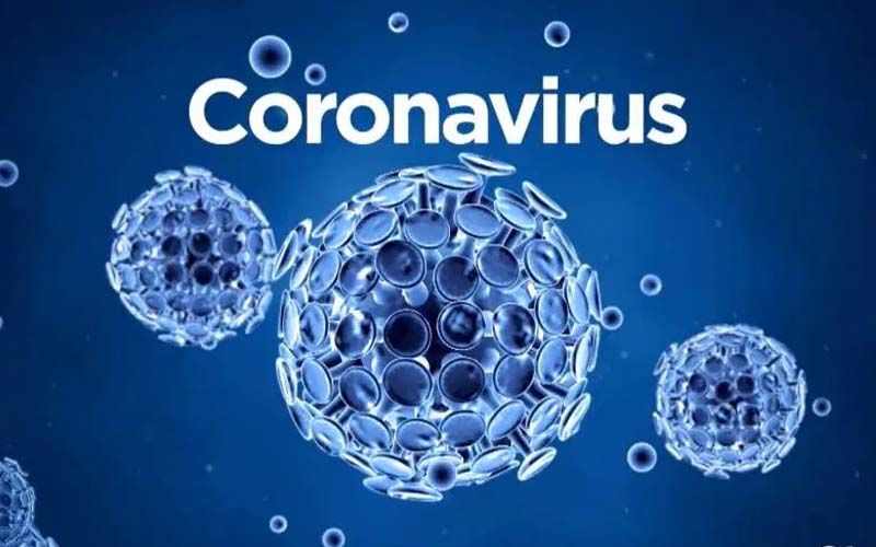 Coronavirus Outbreak: 5 Food Items You Need To Include In Your Diet Right Away To Boost Immunity