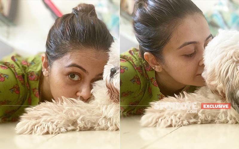 Devoleena Bhattacharjee's Dog Angel Is Unwell; Actress Says, 'The Treatment Is On and She Is My Priority'