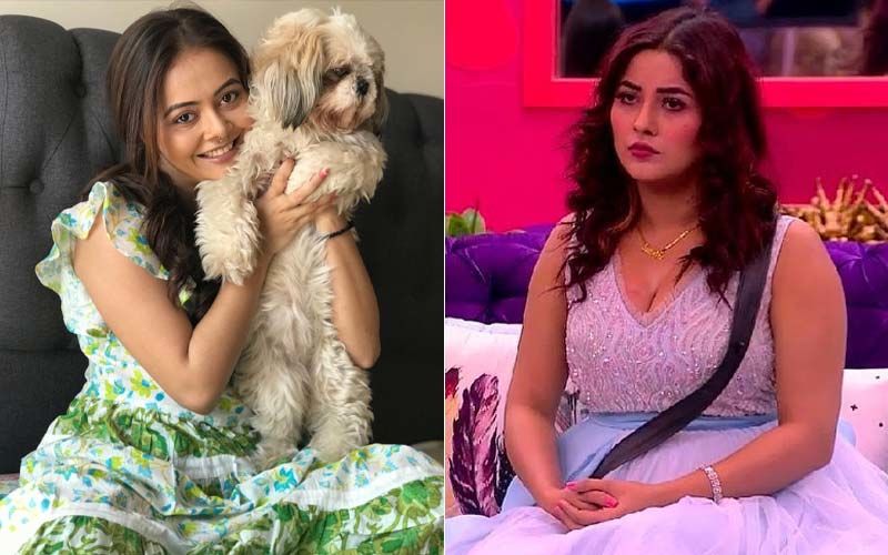 Bigg Boss 13: Devoleena Bhattacharjee Compares Her Dog To Shehnaaz Gill But Says He’s ‘Far More Loyal’