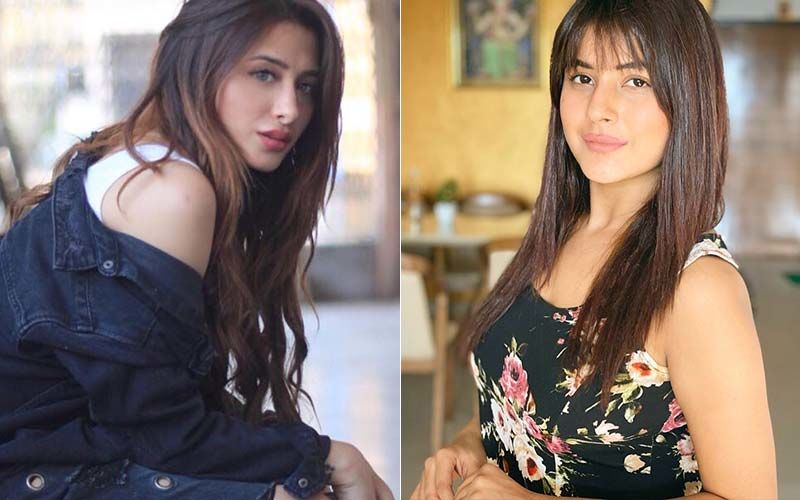 Bigg Boss 13’s Mahira Sharma To Approach Cyber Crime Cell Against Shehnaaz Gill’s Fans: ‘They’re Targeting My Family, It’s Traumatising’