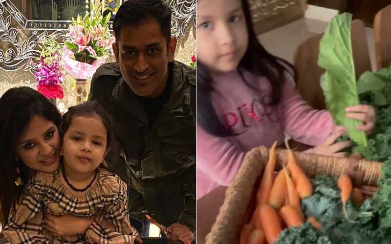 MS Dhoni’s Daughter Ziva Dhoni Gives A Glimpse Of Their Homegrown Veggies; Li’l Princess Picks What Needs To Be Cooked