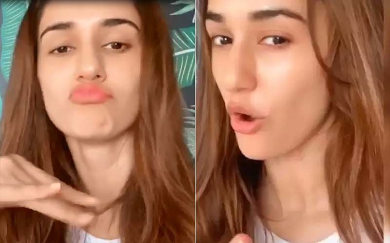 Disha Patani Raps To Kokilaben’s 'Rasode Mein Kaun Tha' Viral Video With Her Pets; It’s Too Good To Miss- WATCH