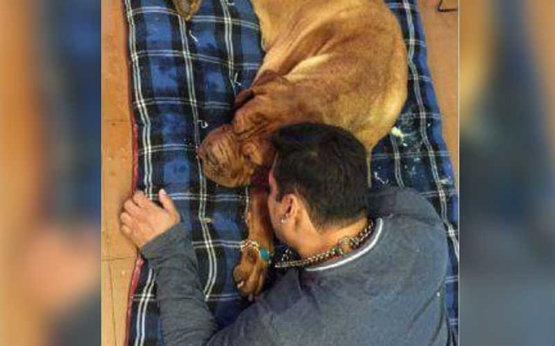 Salman Missing His Pet Veer