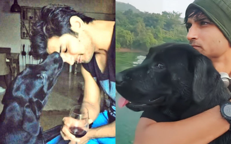 Sushant Singh Rajput’s Dog PASSES AWAY; Fans Get Emotional As They Recall The Actor’s Beautiful Moments With His Doggo Fudge -Read Tweets